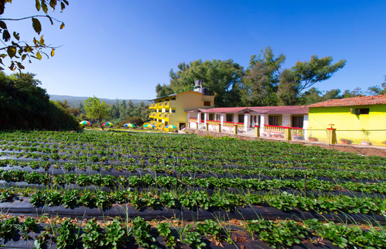 Hirkani garden resort mahabaleshwar