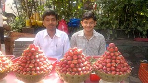 strawberry vendors
